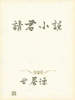 请君小说