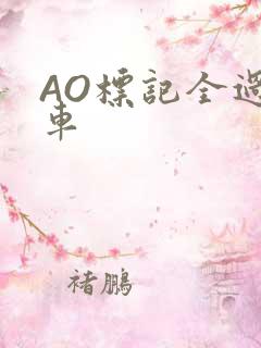 AO标记全过程车