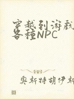 穿越到游戏里和各种NPC