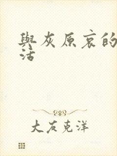 与灰原哀的h生活