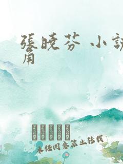 张晓芬 小说主角