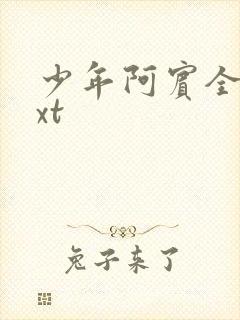 少年阿宾全集txt