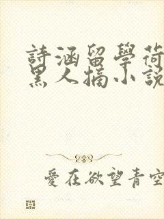 诗涵留学荷兰被黑人摘小说