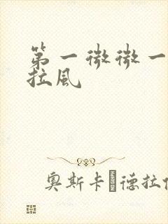 第一微微一笑很拉风