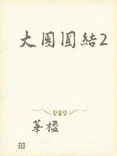 大团圆结2