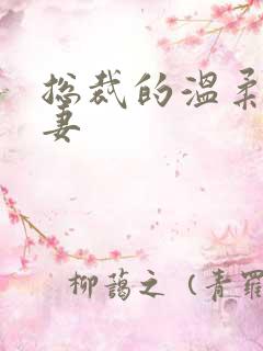 总裁的温柔乖乖妻