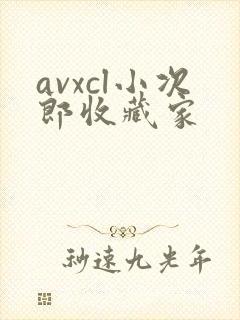 avxcl小次郎收藏家