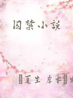 囚禁小说