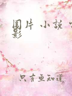 图片 小说 电影