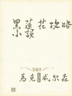 黑莲花攻略手册小说