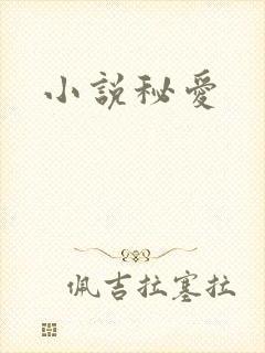 小说秘爱