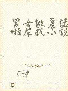 男女做爰猛烈啪啪床戏小说