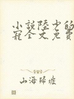 小说陆少的心尖宠全文免费阅读