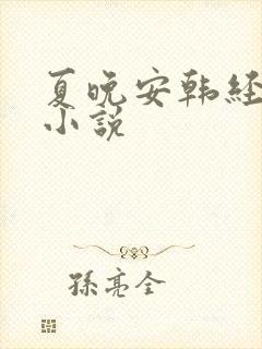夏晚安韩经年的小说