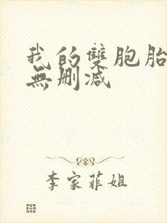 我的双胞胎老婆无删减