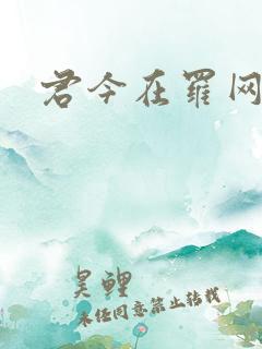 君今在罗网