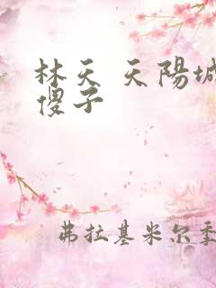 林天 天阳城 傻子