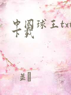中国球王txt下载