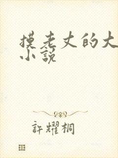 摸老丈的大牛子小说