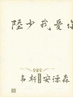 陆少 我爱你