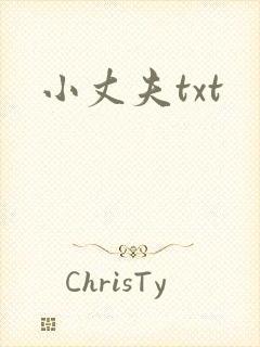 小丈夫txt