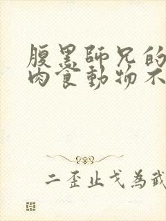 腹黑师兄的日常肉食动物不食草