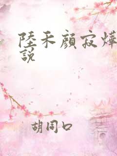 陆禾颜寂烨霖小说