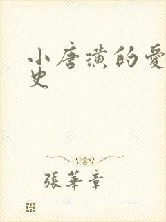 小唐璜的爱情历史