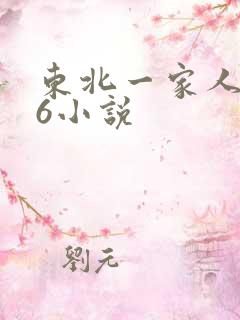 东北一家人1一6小说