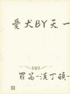 爱犬BY天一