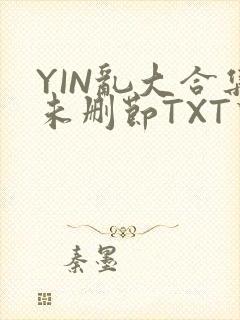 YIN乱大合集未删节TXT下载
