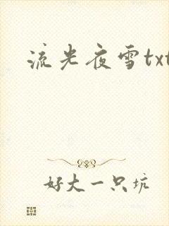 流光夜雪txt