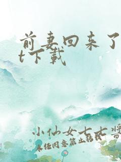 前妻回来了txt下载