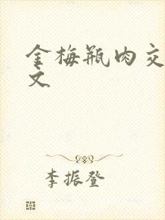 金梅瓶肉交白话文