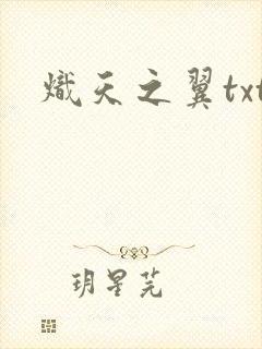 炽天之翼txt