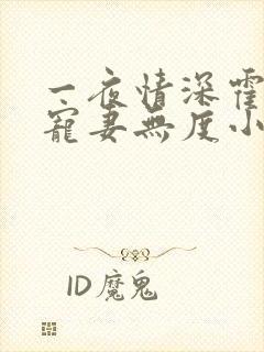 一夜情深霍先生宠妻无度小说免费阅读