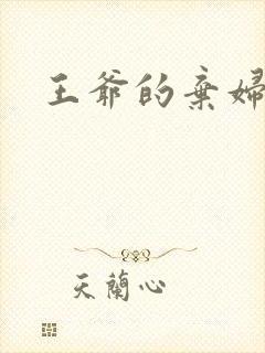 王爷的弃妇