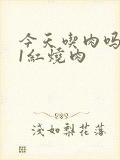 今天吃肉吗1V1红烧肉