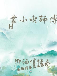 丛小吃师傅的HH
