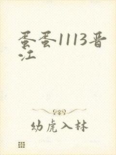 蛋蛋1113晋江