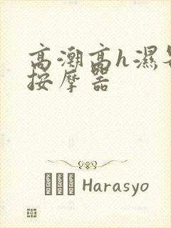 高潮高h湿各种按摩器