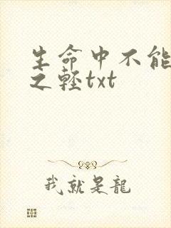 生命中不能承受之轻txt