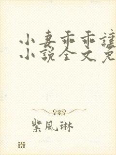 小妻乖乖让我宠小说全文免费阅读