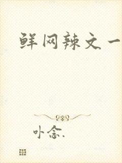 鲜网辣文一对一