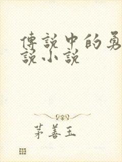 传说中的勇者传说小说