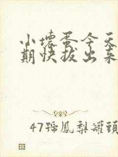 小坏蛋今天危险期快拔出来