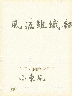 风流组织部长