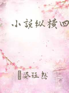 小说纵横四海