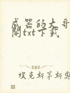 成器的大哥笔趣阁txt下载