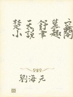 楚天舒慕容江月小说笔趣阁